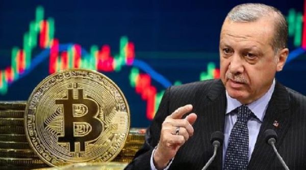 Erdogan Appoints Crypto Professor to Central Bank Monetary Body